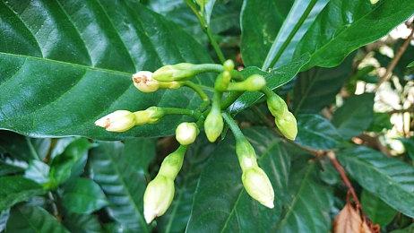 传闻：《双子传说：重制版》即将公开